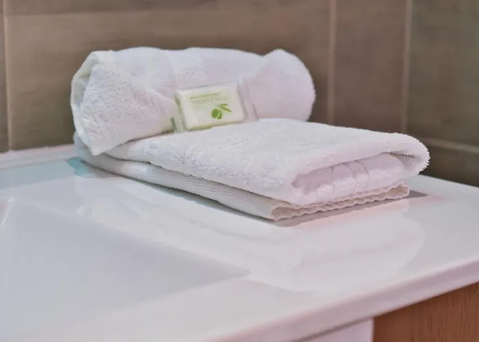 Apartment Le Joyau Reims